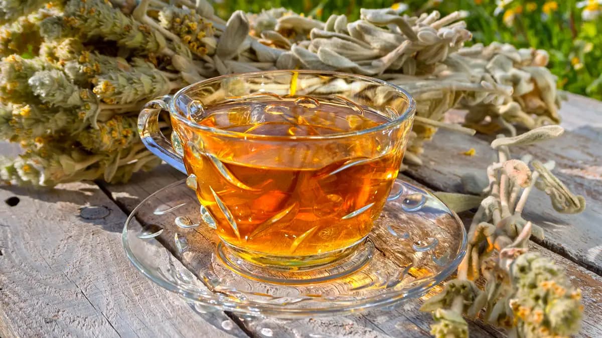 Mehr Darmgesundheit – Ballaststoffe pur mit Bio-Inulin Pulver