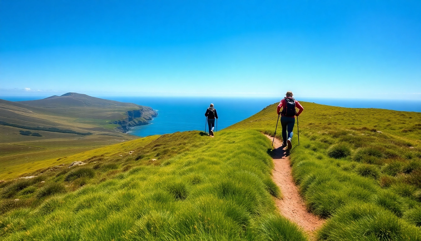 Dingle Way wandern auf einem malerischen Wanderweg mit üppigem Grün und Klippen.